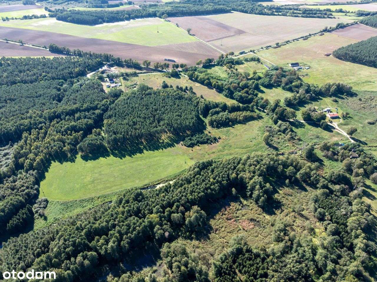 Działka 7,2 ha- przyroda i potencjał inwestycyjny-11