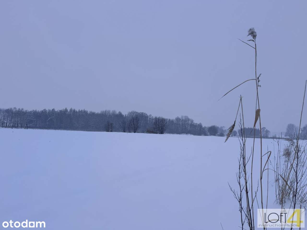 Łukowa - doskonała okazja dla inwestora z WZ-8