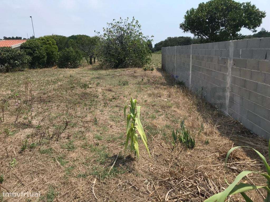 Terreno para construção junto á Ria - Gafanha da Nazaré - Grande imagem: 4/5