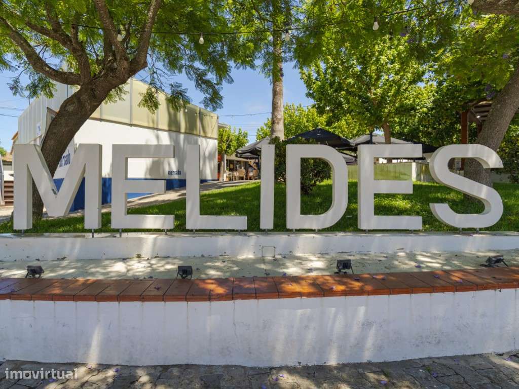 Monte Alentejano para recuperar em Melides-13