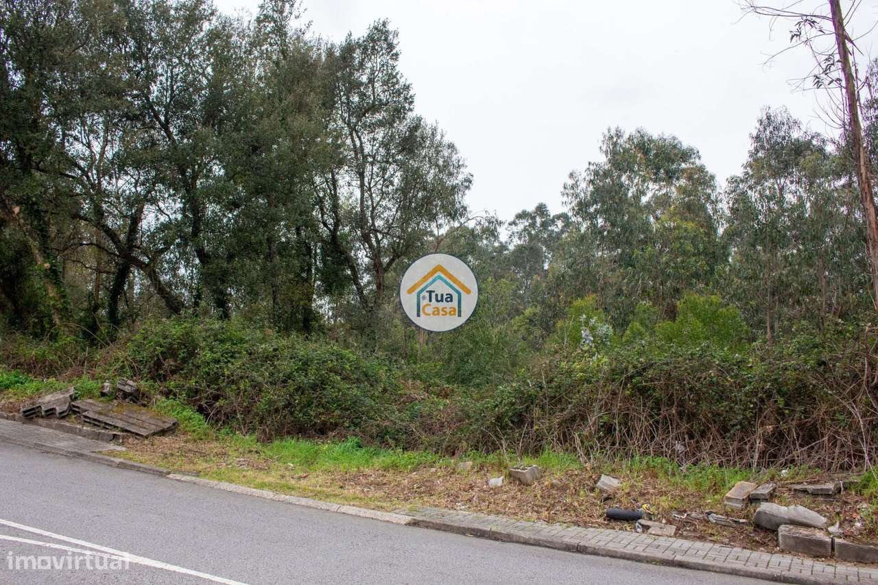 Terreno para Construção – 4000m2 em Lourosa - Grande imagem: 3/15