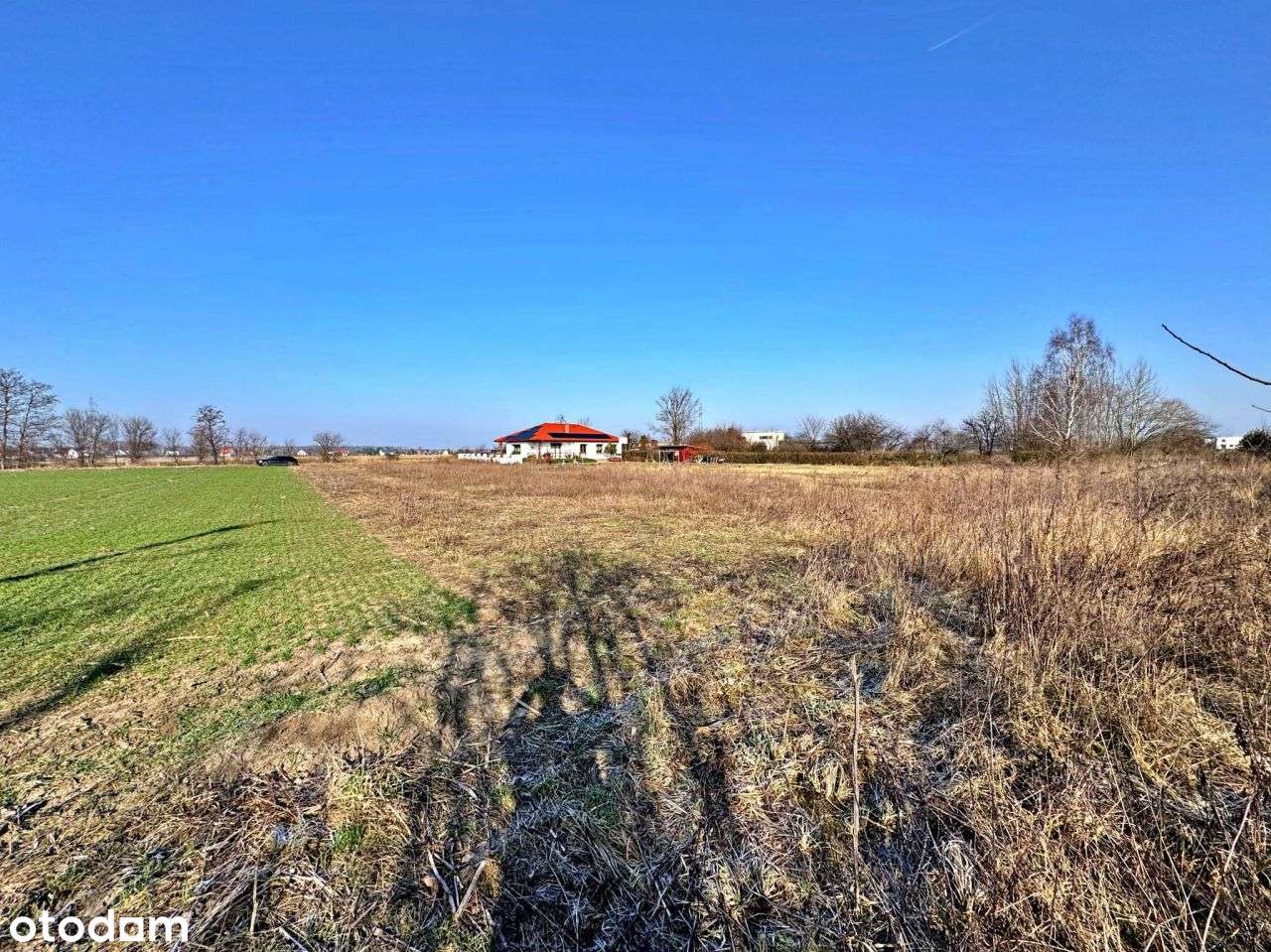 Działka Inwestycyjno-Budowlana Przyborki, Dom/Hala - Pełny obrazek: 4/8