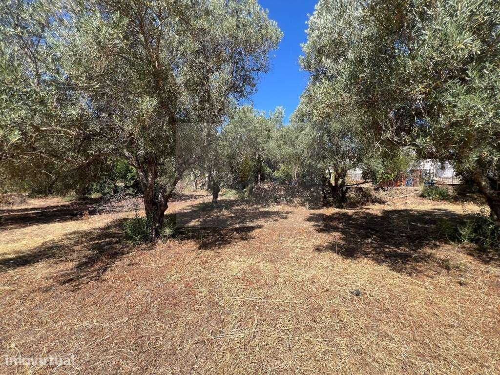 Terreno Urbano numa Zona Tranquila - Grande imagem: 3/6