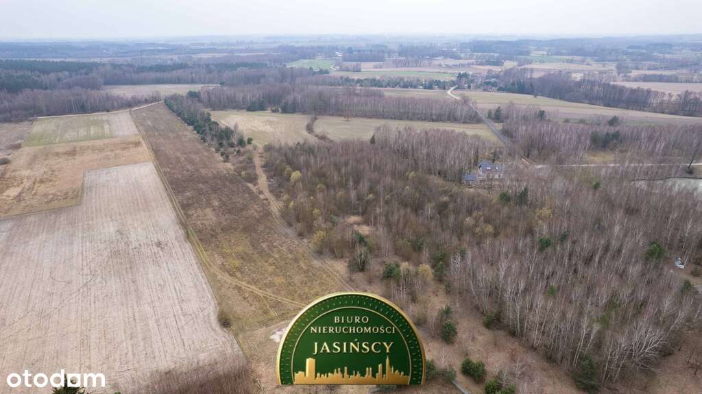 Działka | Sprzedaż | 2,8 ha | Sadek gm. Glinojeck - Pełny obrazek: 4/4