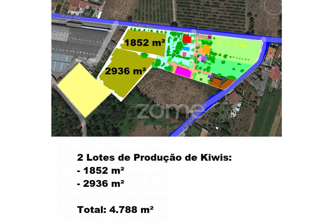 Quinta Kiwis, 1,7ha, 2 casas, piscina, Estrada Real, Águeda, Aveiro - Grande imagem: 4/60