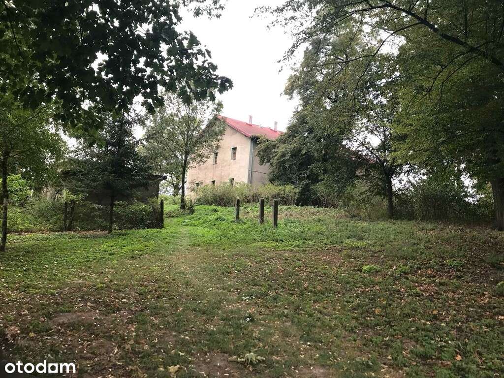 ZABYTKOWY DWOREK Z POTENCJAŁEM 940 M² i PARK - Pełny obrazek: 4/12