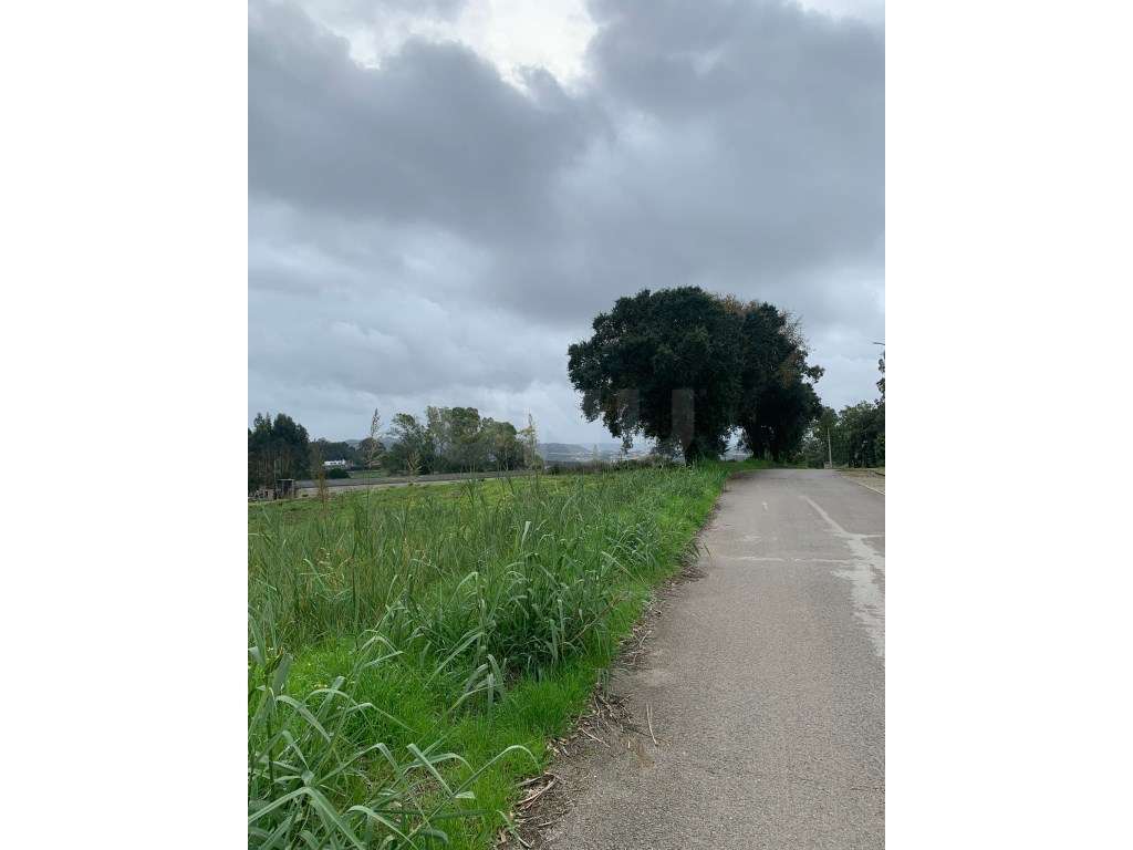 Terreno para construção, para venda, Caldas da Rainha - Grande imagem: 4/7