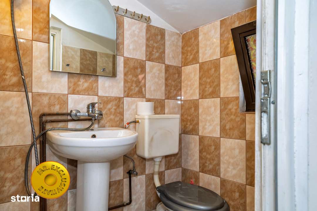 Doua case in aceeasi curte Pitesti, Strada Turcesti-9