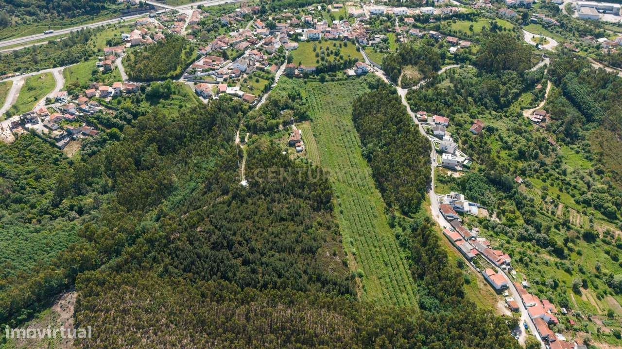 Quinta com 8 hectares com potencial para construção – Antanhol - Coimb-15