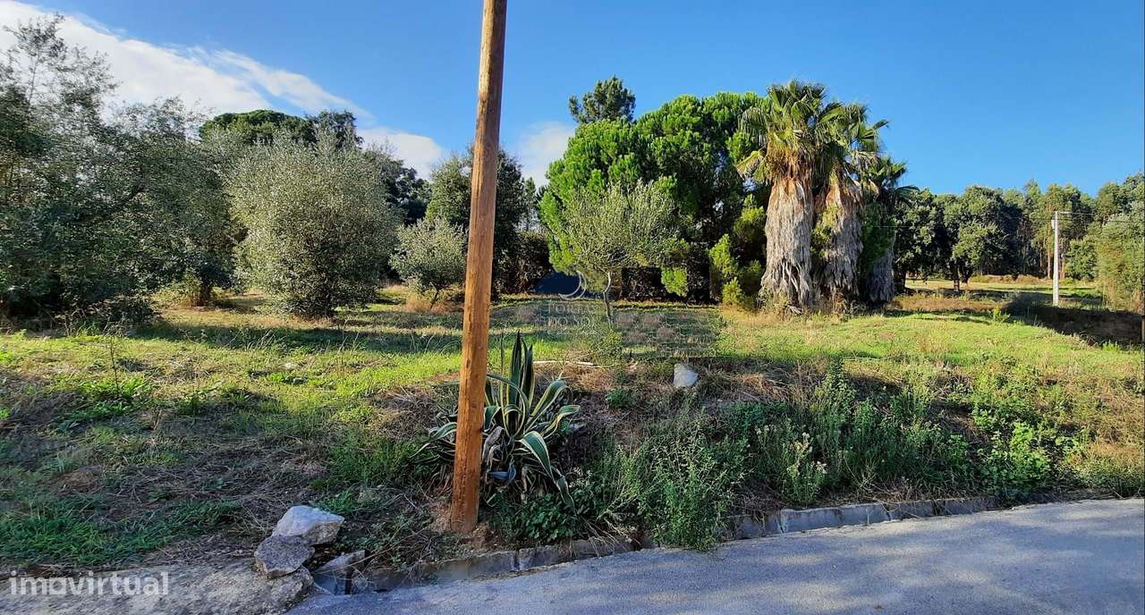 Terreno de 695 m2 p/ construção de moradia - Grande imagem: 1/3