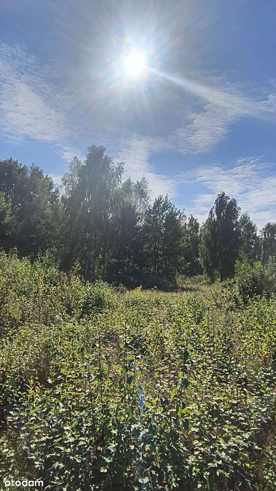 Działaka budowlana. - Pełny obrazek: 5/10