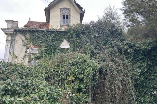 Moradia T5 Venda em Ovoa e Vimieiro,Santa Comba Dão - Grande imagem: 5/10