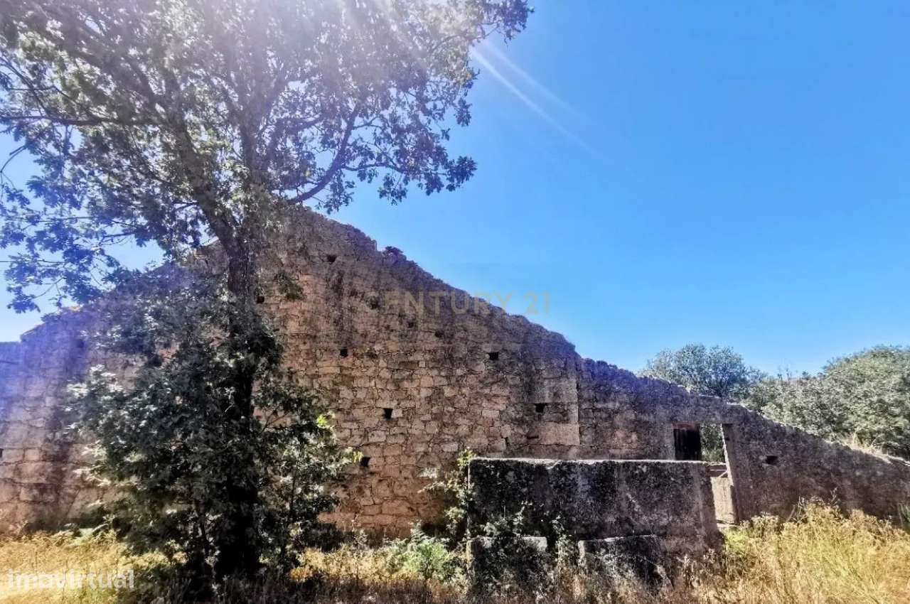 Oportunidade! Quintinha, Soalheira - Grande imagem: 4/8