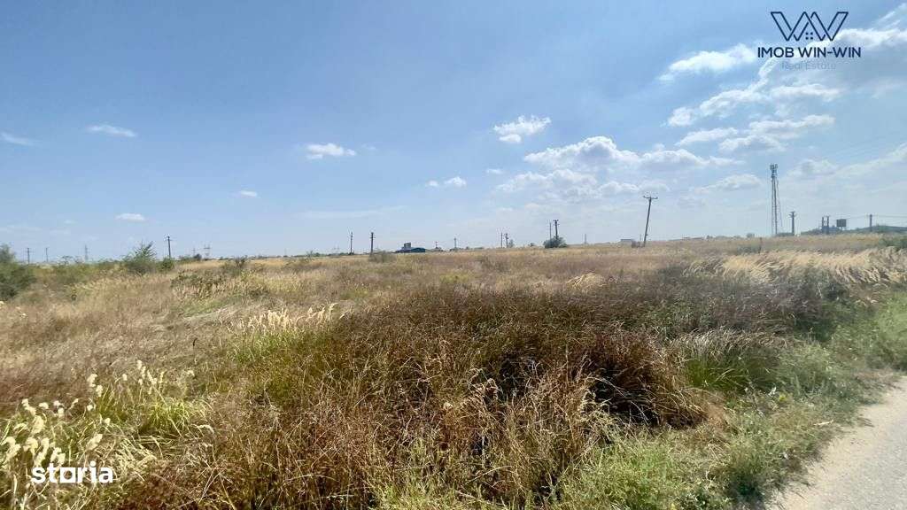 Comision 0% - Teren industrial Albota zona Gioroc - Imagine principală: 5/7