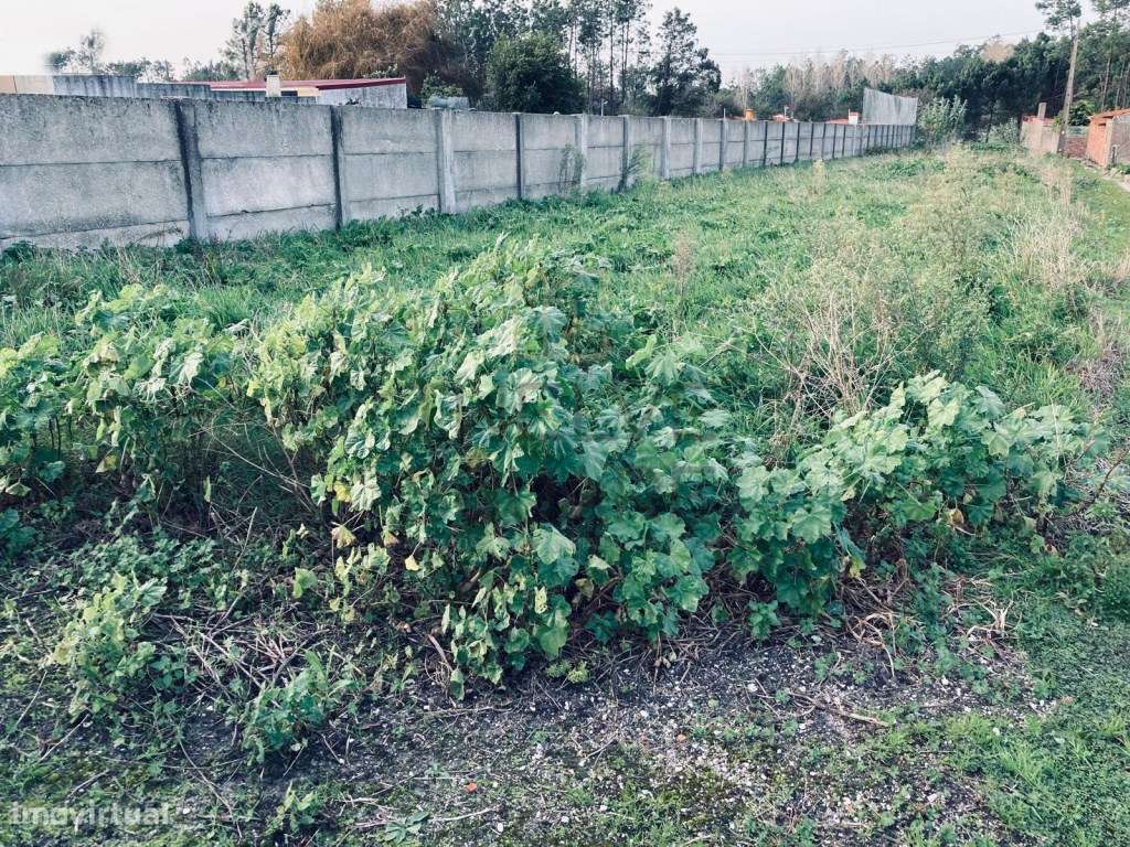 Terreno para construção de 2 moradias individuais com autorização p...-0