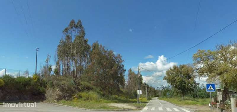Terreno rústico junto à Feira de Carregal do Sal - Grande imagem: 1/9