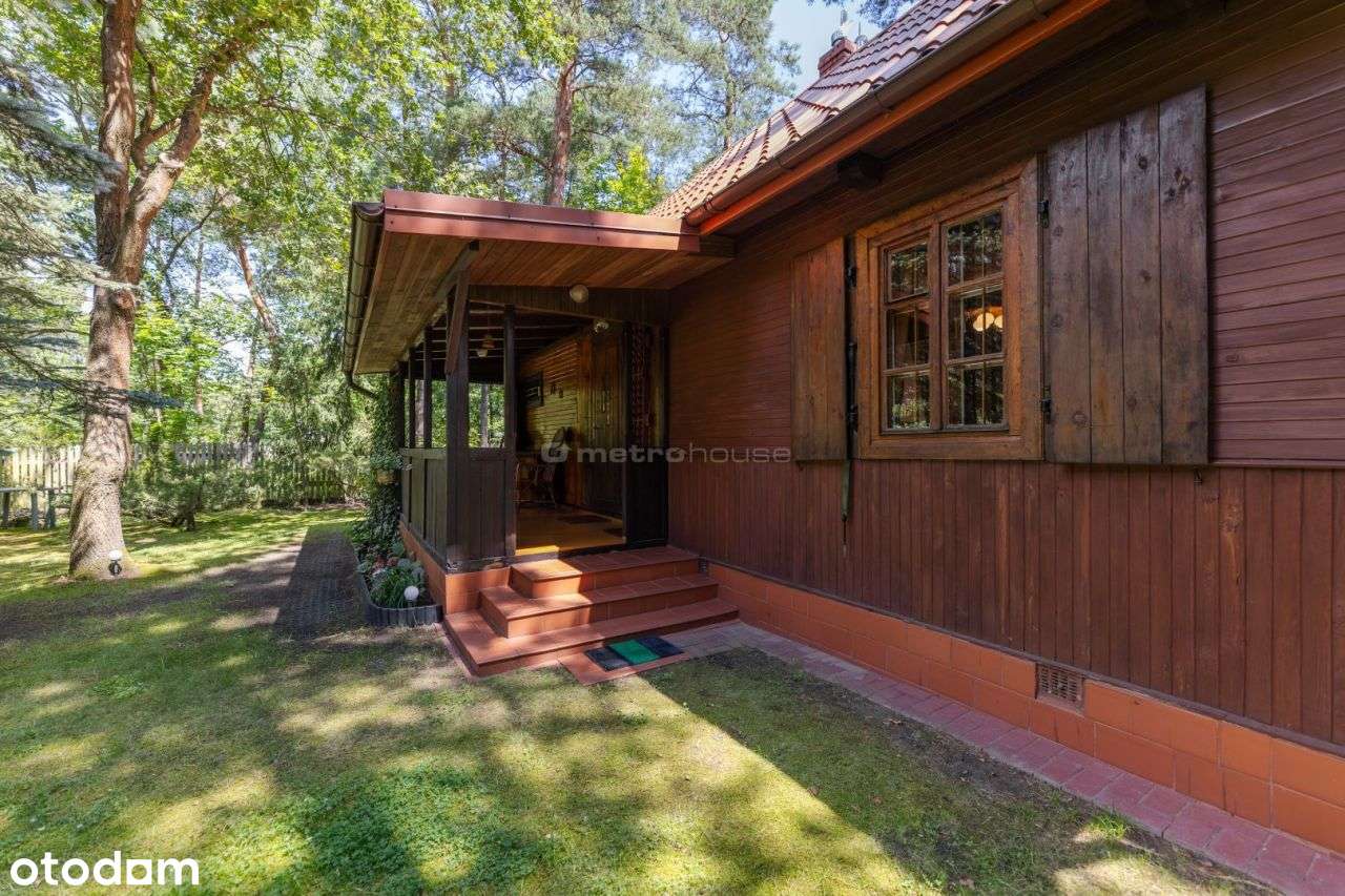 Dom drewniany 61m2 na zalesionej działce - Pełny obrazek: 4/19