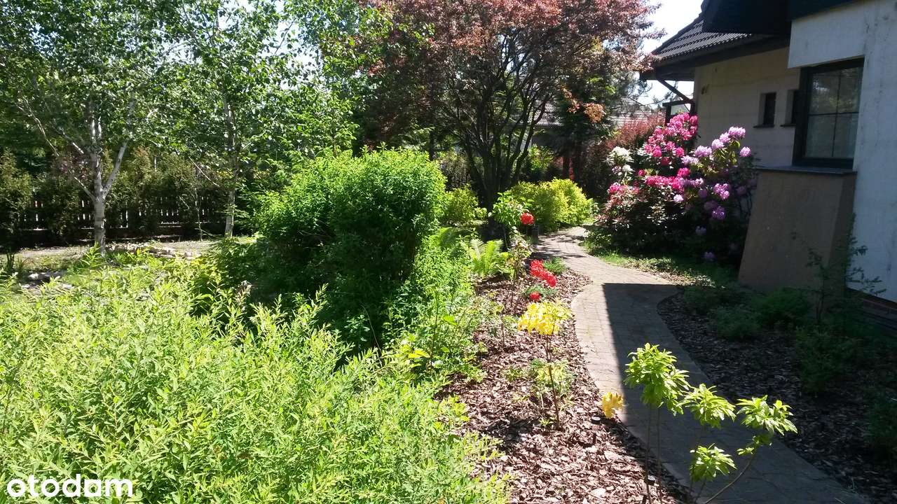 Malinowice, przestronny dom o pow. 209 m² położony w spokojnej okolicy - Pełny obrazek: 4/17