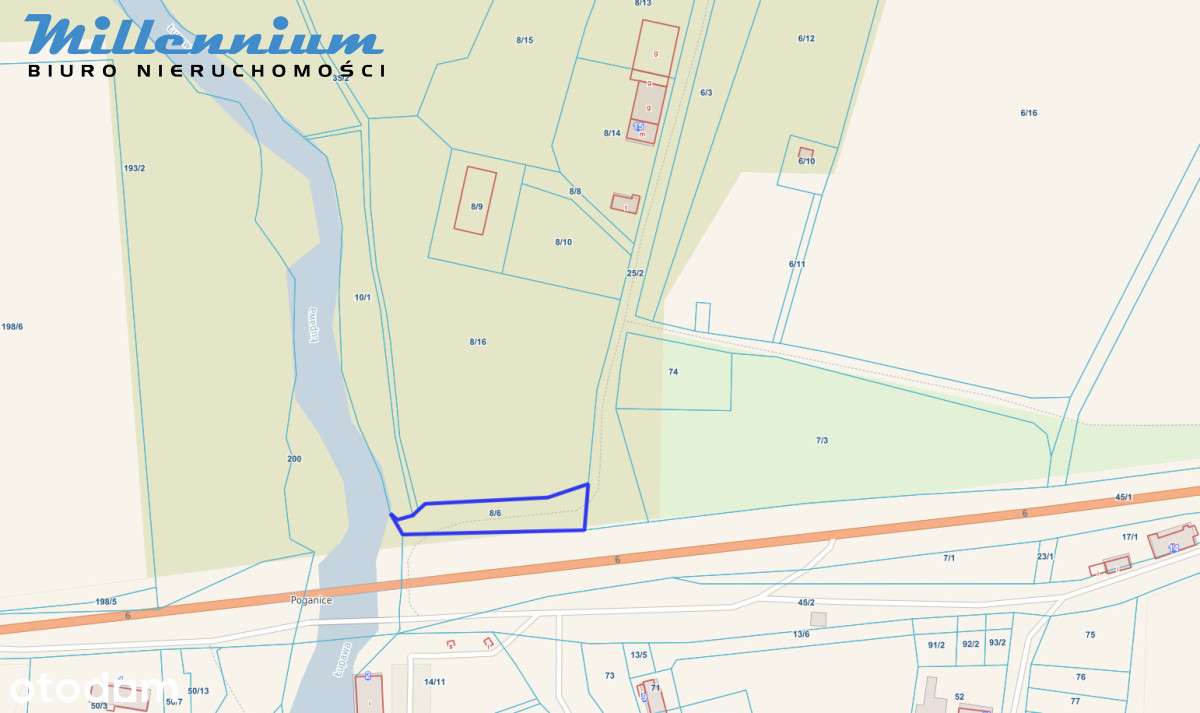 A może chcesz prowadzić spływy kajakowe?-6