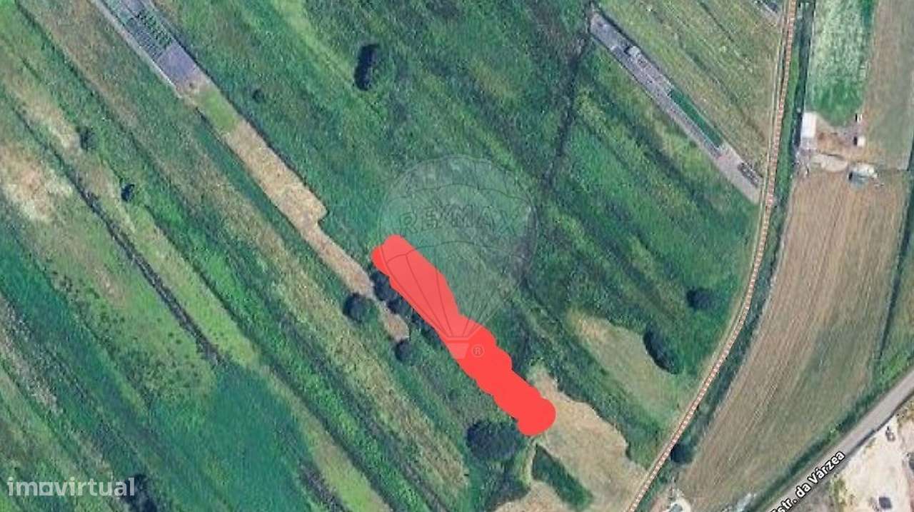 Terreno  para venda - Grande imagem: 4/6