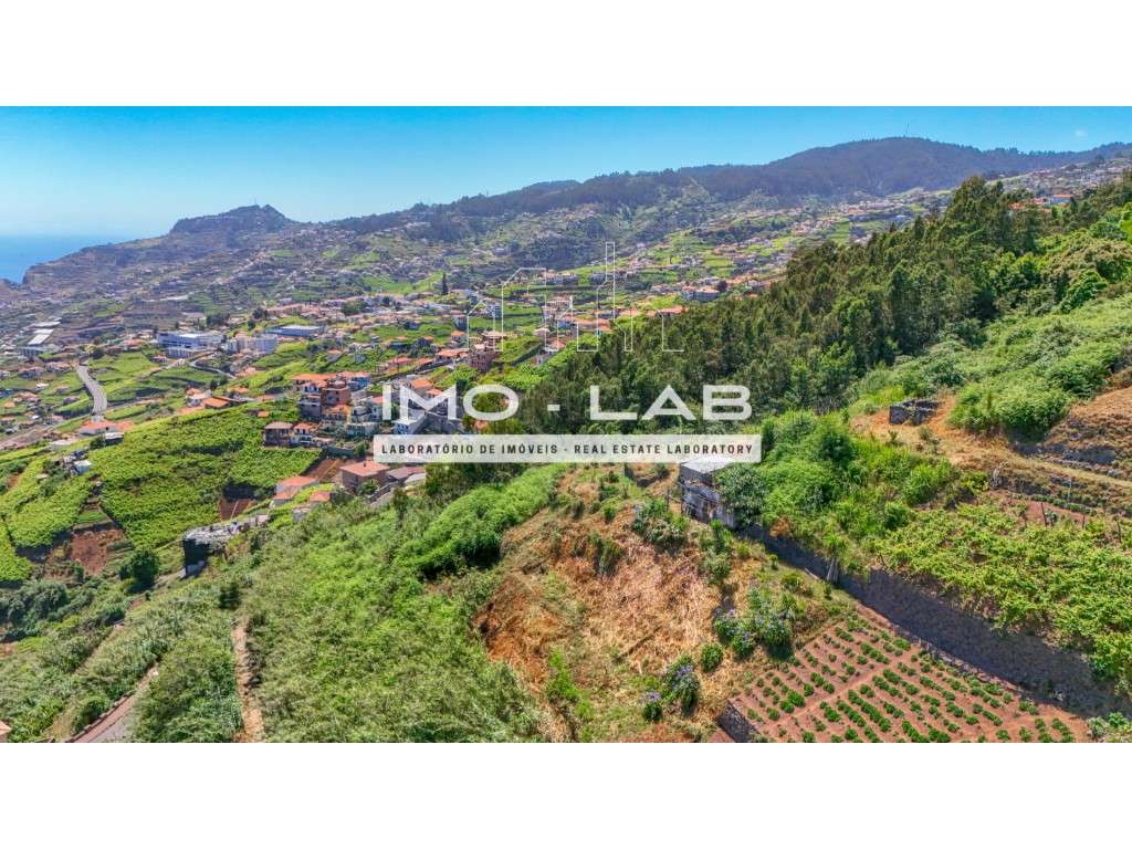 Terreno com 1615m2 - Vista Mar - Câmara de Lobos - Grande imagem: 3/16