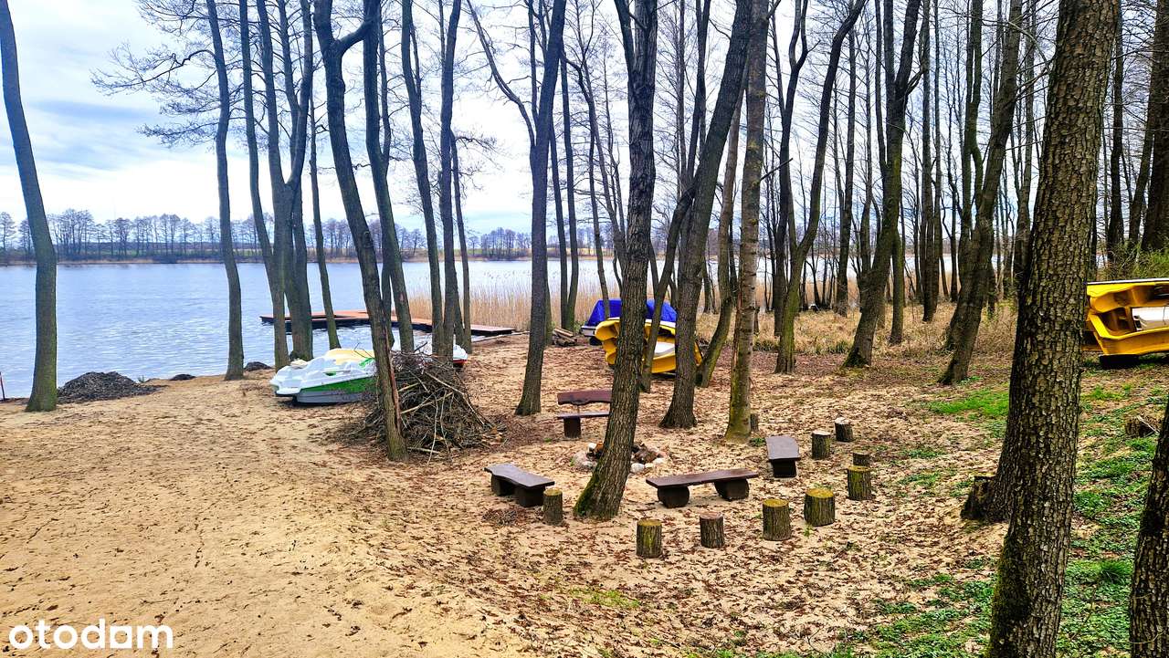 Pierwsza linia brzegowa, piękna plaża wśród piasku i drzew - Pełny obrazek: 4/16