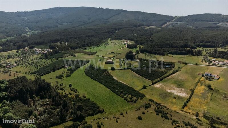 Terreno / Fundão, Enxames