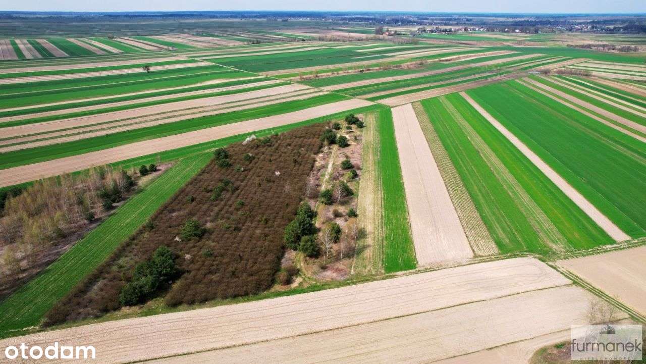 Działki rolne i leśne o powierzchni 1,13 ha - Pełny obrazek: 5/19