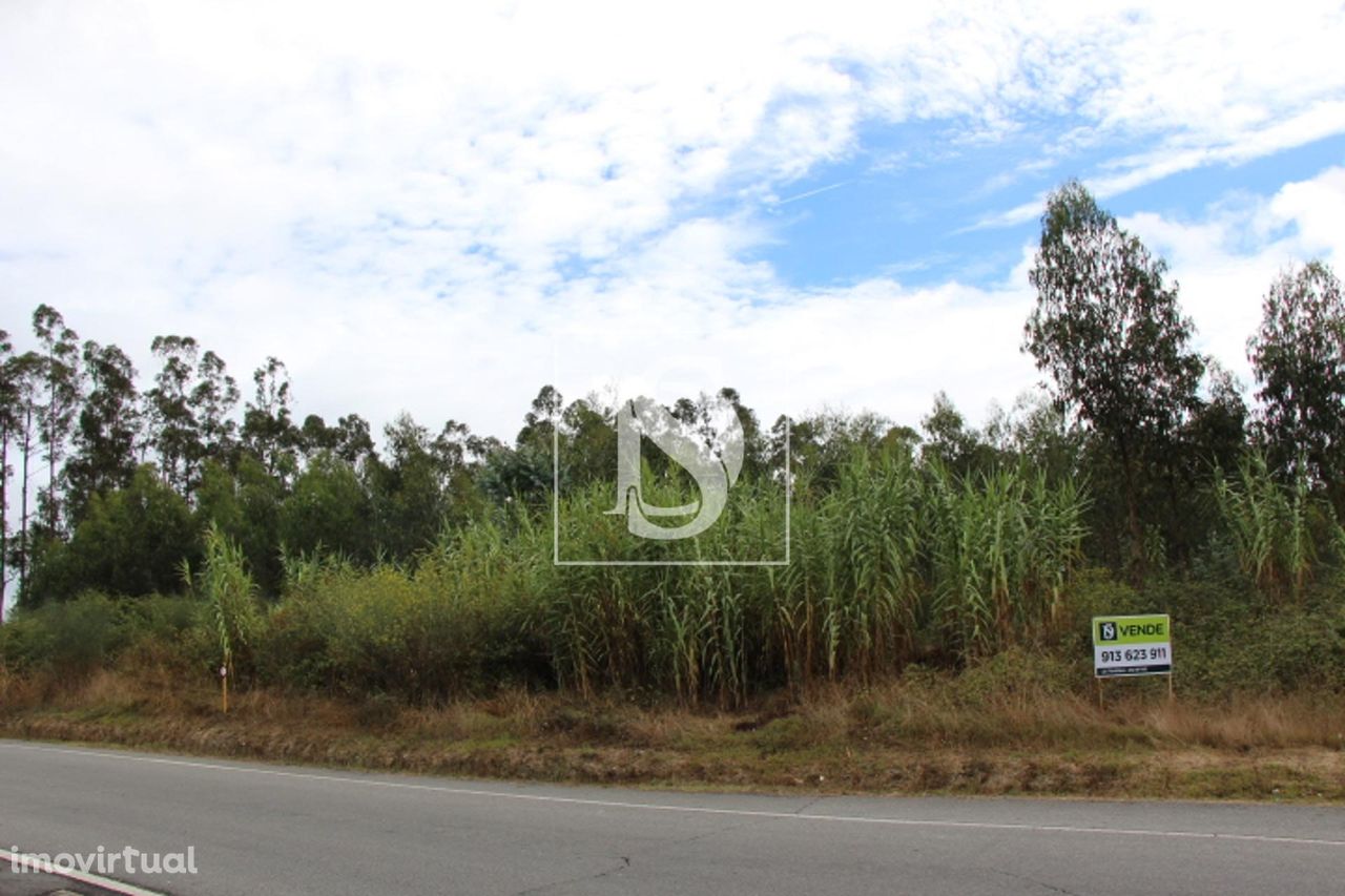 Terreno Não definido em Campo de Besteiros