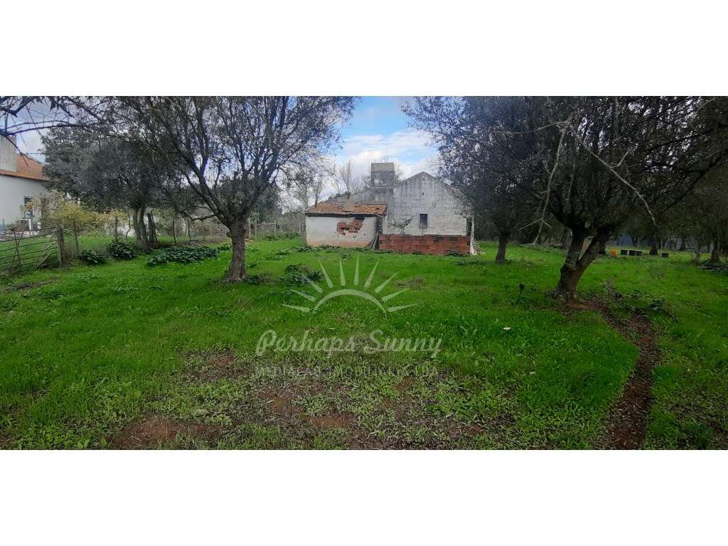 Olival com habitação na Várzea de Grândola - Grande imagem: 4/29