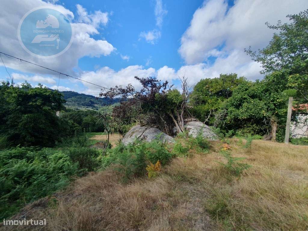 Quinta à venda para restauro em Arroteia freguesia de Rossas-58