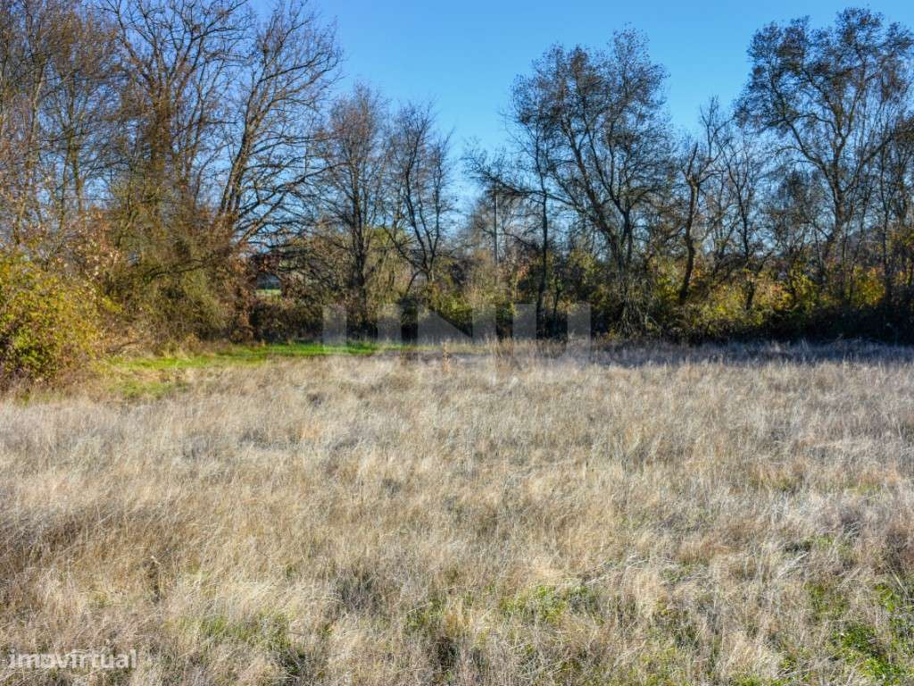 Terreno rústico para venda na freguesia de Inguias (Belmonte). - Grande imagem: 4/8