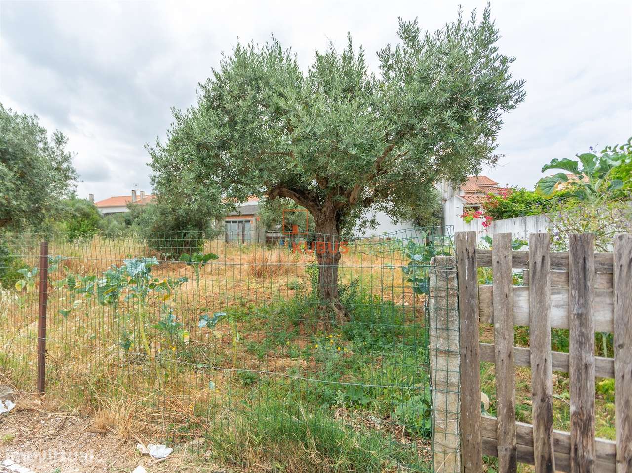 Lote de Terreno  Venda em São João Baptista,Entroncamento - Grande imagem: 3/16