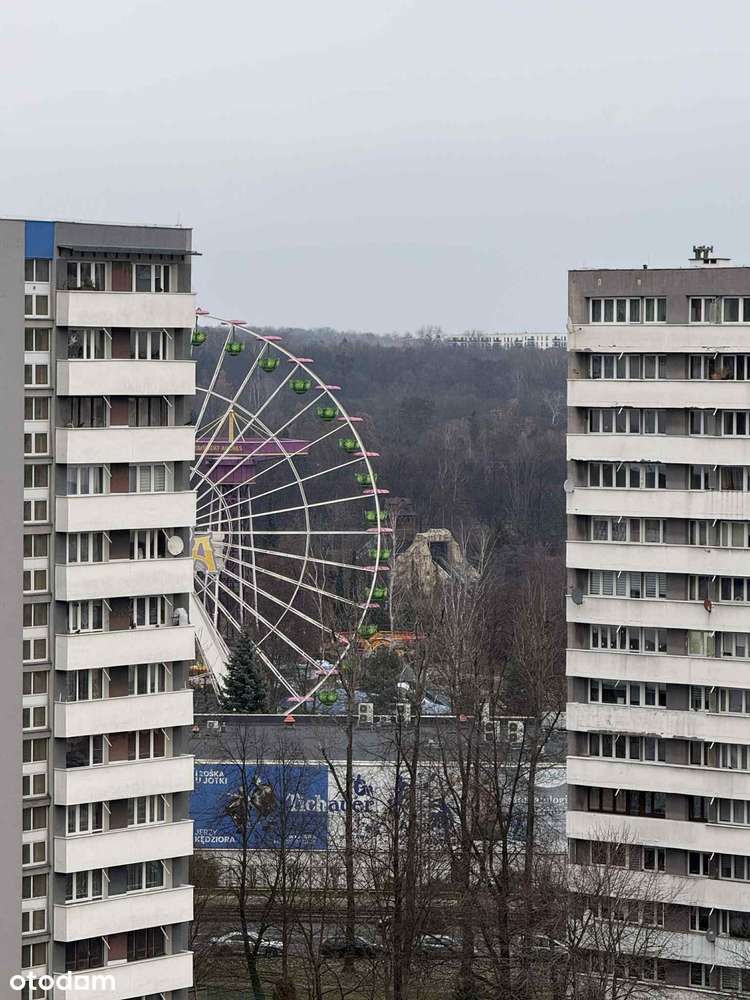 Katowice, Tysiaclecie - kawalerka 28 m kw, 250.000,00 zł-8