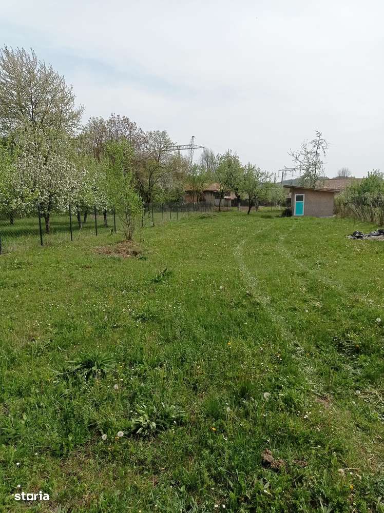 Brebu - teren intravilan - 718mp - 48 Euro/mp - Imagine principală: 4/7