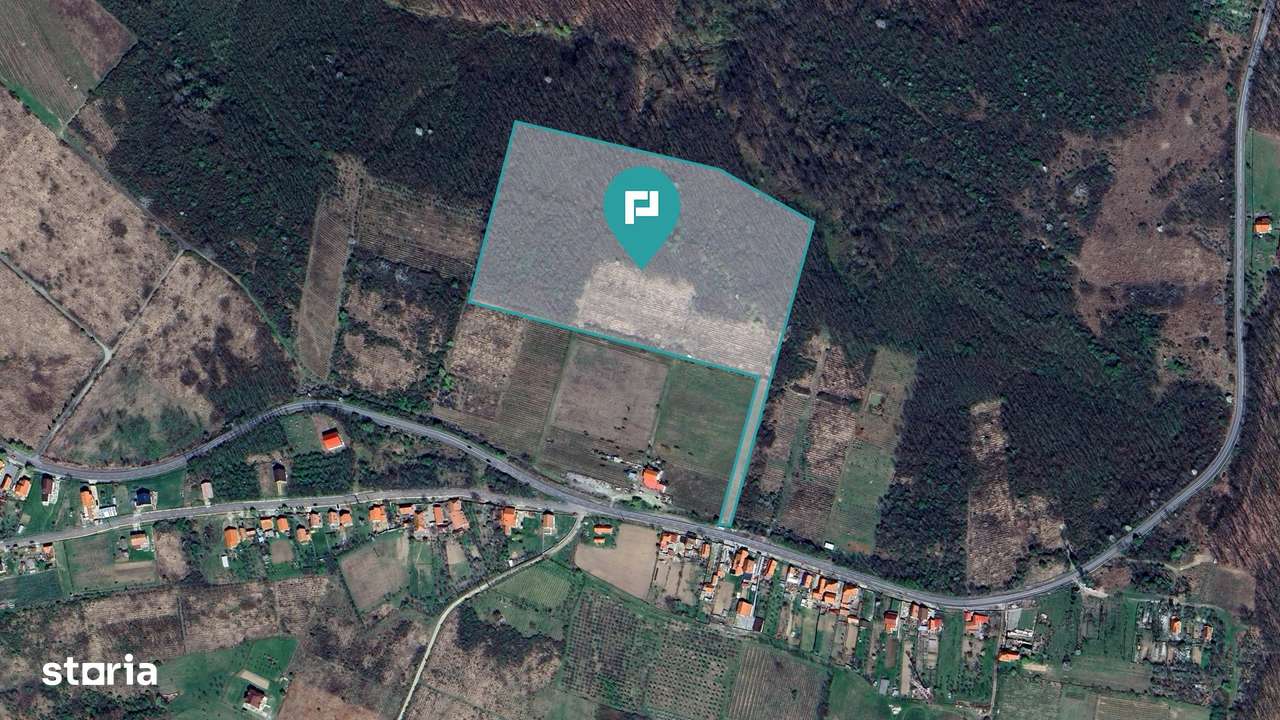 Teren de vânzare – 5,47 ha | Dealul Viilor, Lugoj - Imagine principală: 2/4