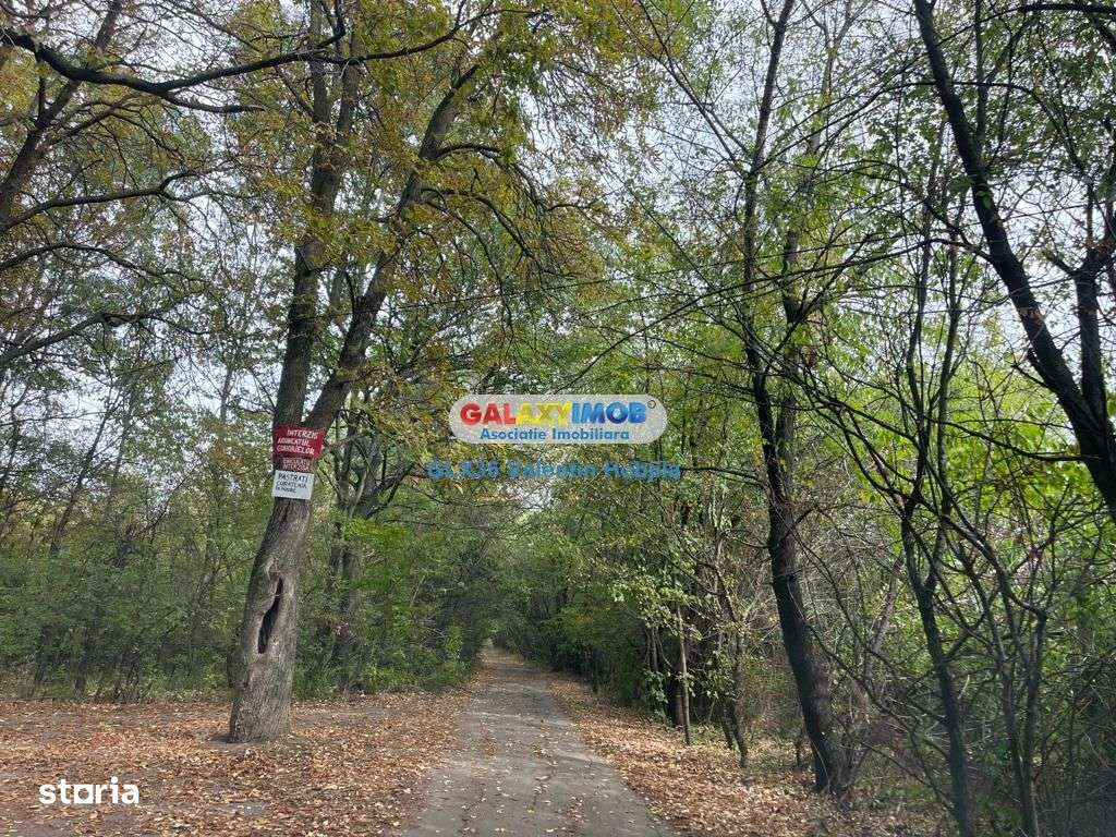 Vanzare teren 3300 mp Peris -deschidere padurea Scrovistea - Imagine principală: 3/5
