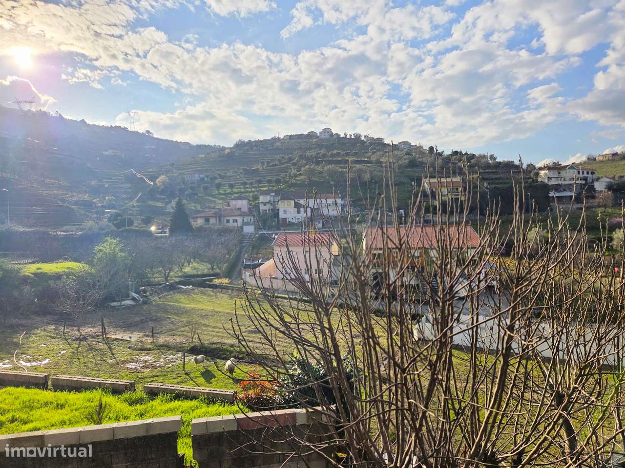 Terreno  Venda em Cambres,Lamego - Grande imagem: 3/13
