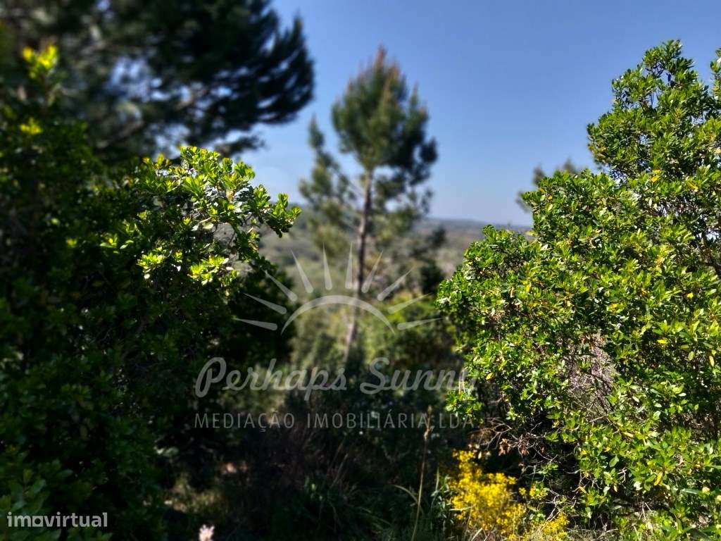 Terreno Serra de Grândola - Grande imagem: 4/5