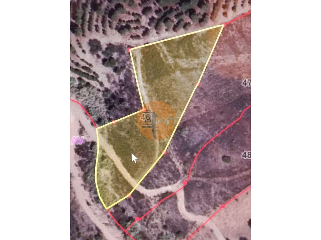 TERRENO RÚSTICO COM 4.760 M2 - BONS ACESSOS - MARROQUIL - AZINHAL -... - Grande imagem: 2/27