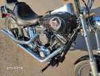 Harley-Davidson Softail Standard - 11