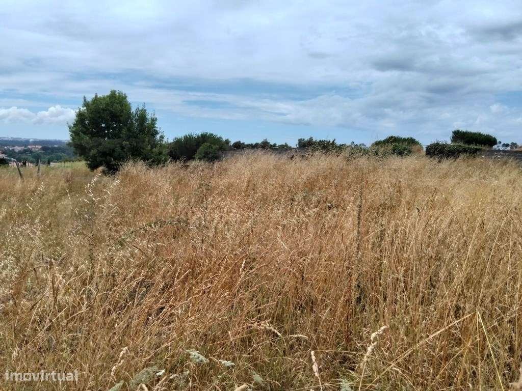 Terreno para construção de moradia - Fermelã / Estarreja-13