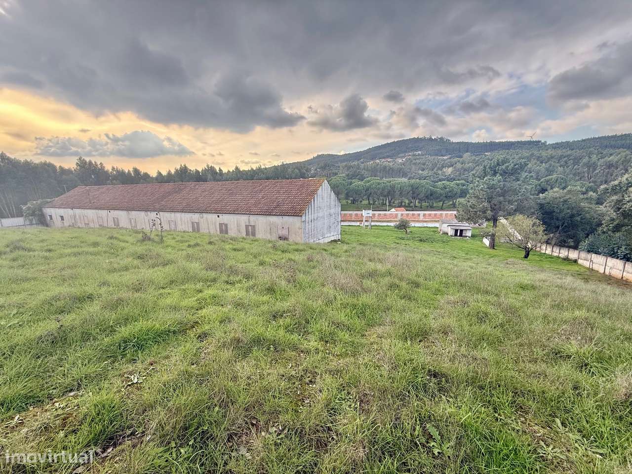 Quintinha com habitação, armazéns e terreno - Rio Maior-36