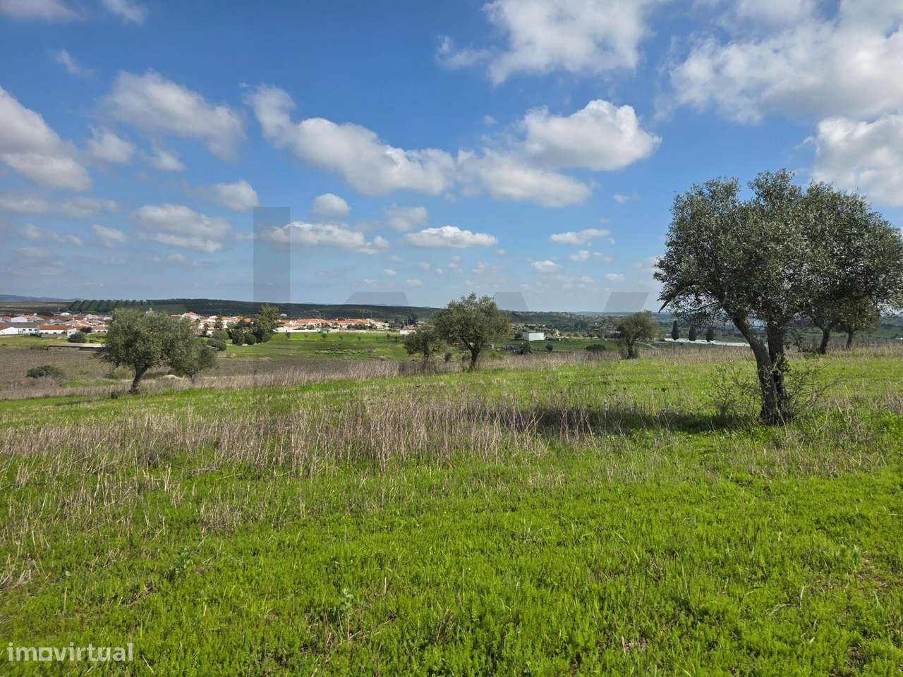 Terrenos agrícola junto à aldeia de Pedrógão do Alentejo - Vidigueira - Grande imagem: 5/24
