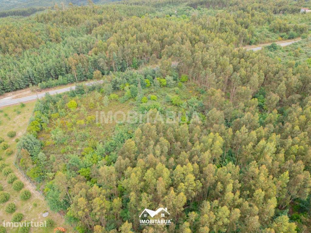 Propriedade de 4Ha com Moradia para reconstruir-30