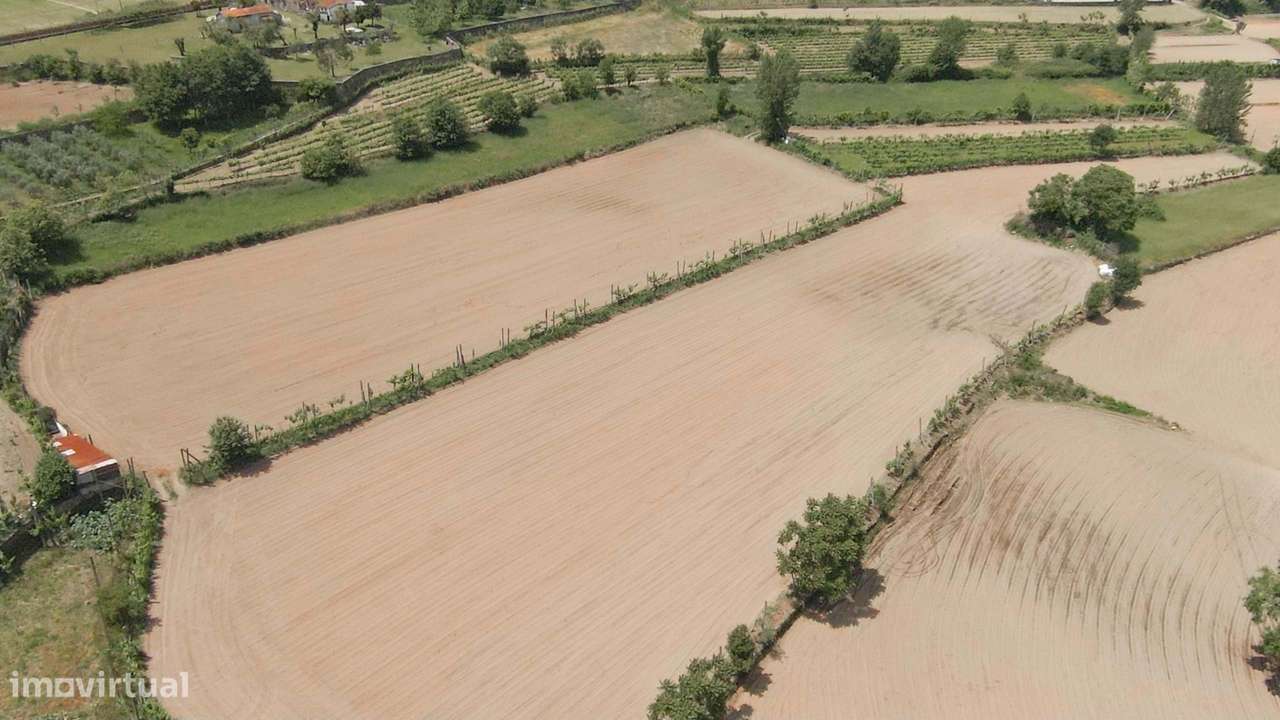 Terreno Agrícola  em Longos/Guimarães - Grande imagem: 5/10