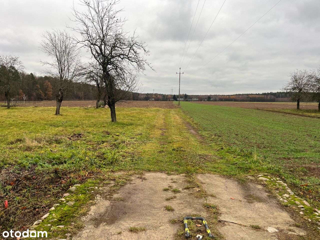 2 działki budowlane w malowniczym Porządziu - Pełny obrazek: 5/7