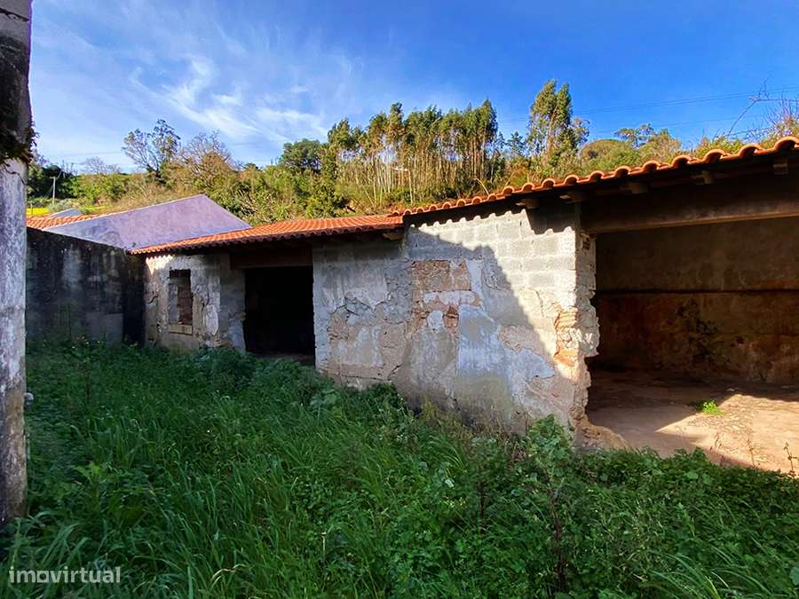 Adega e anexos para recuperar, com logradouro, a 10 min de C da Rainha-10