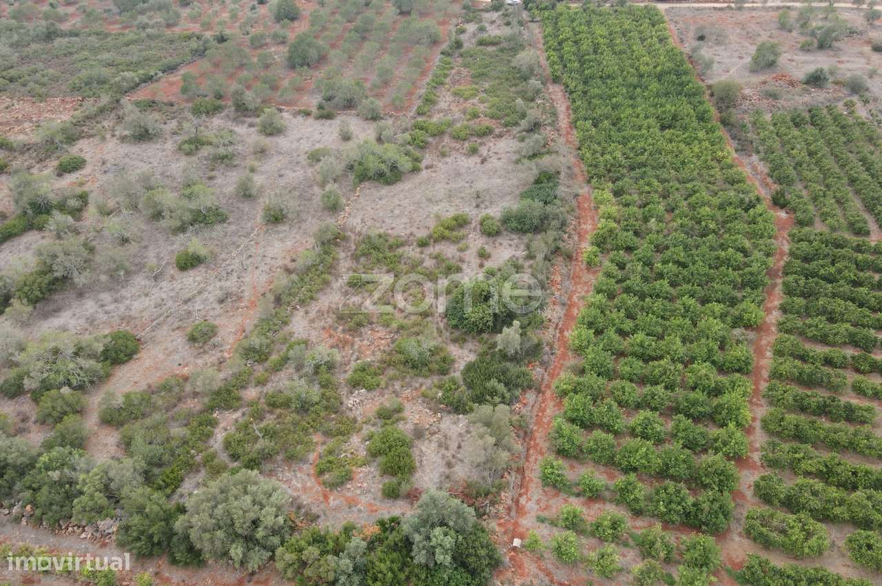 Terreno Rústico em Messines, em Carrascal com 6.080m2 - Grande imagem: 5/15