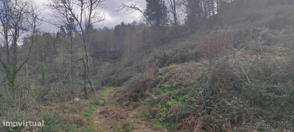 Terreno Agrícola - Moimenta / Terras de Bouro - Grande imagem: 5/7